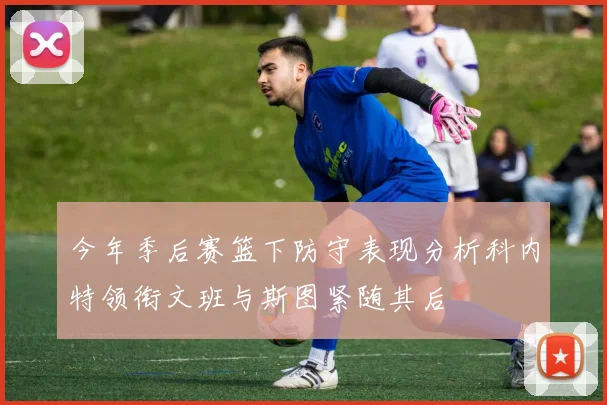 今年季后赛篮下防守表现分析科内特领衔文班与斯图紧随其后