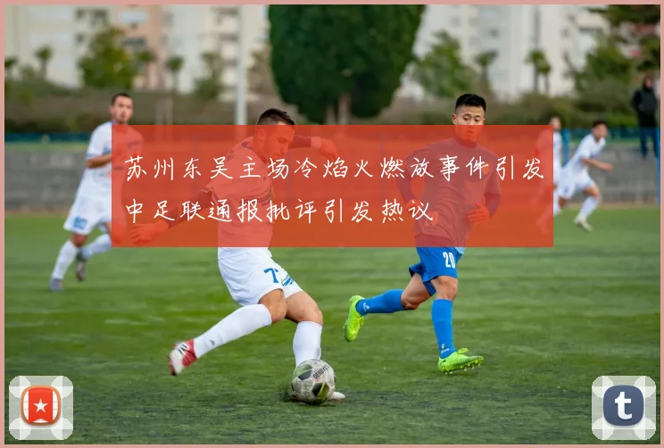苏州东吴主场冷焰火燃放事件引发中足联通报批评引发热议