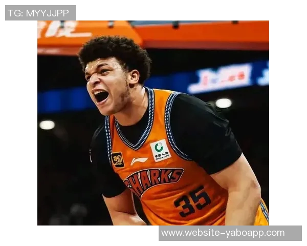 辽宁男篮今夏大变动弗格张镇麟加盟上海大韩宣布退役引发关注